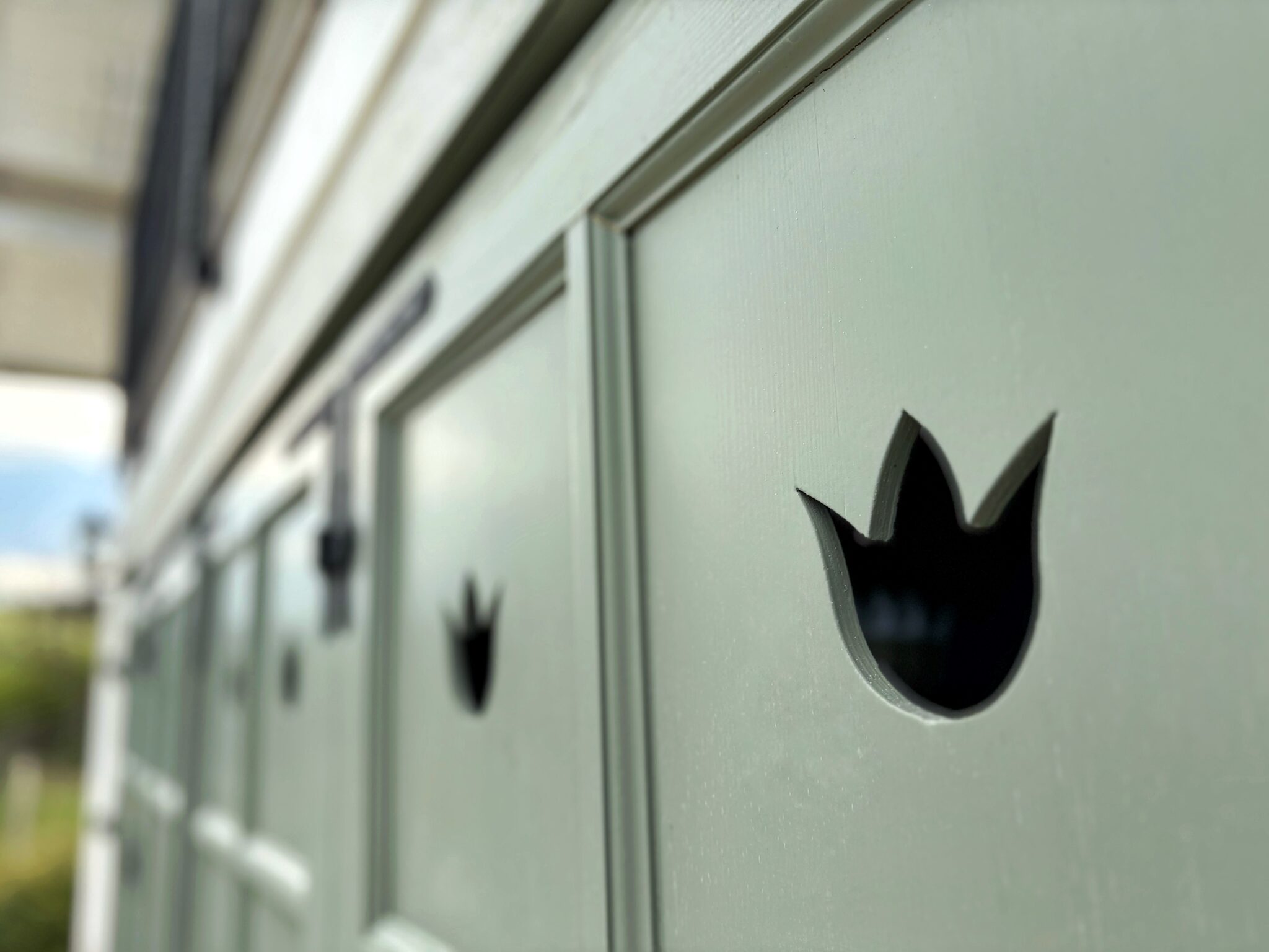 Tulipán